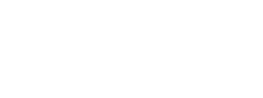 Services 3 Shape 3