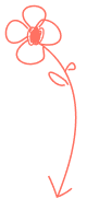 Services 3 Shape 5